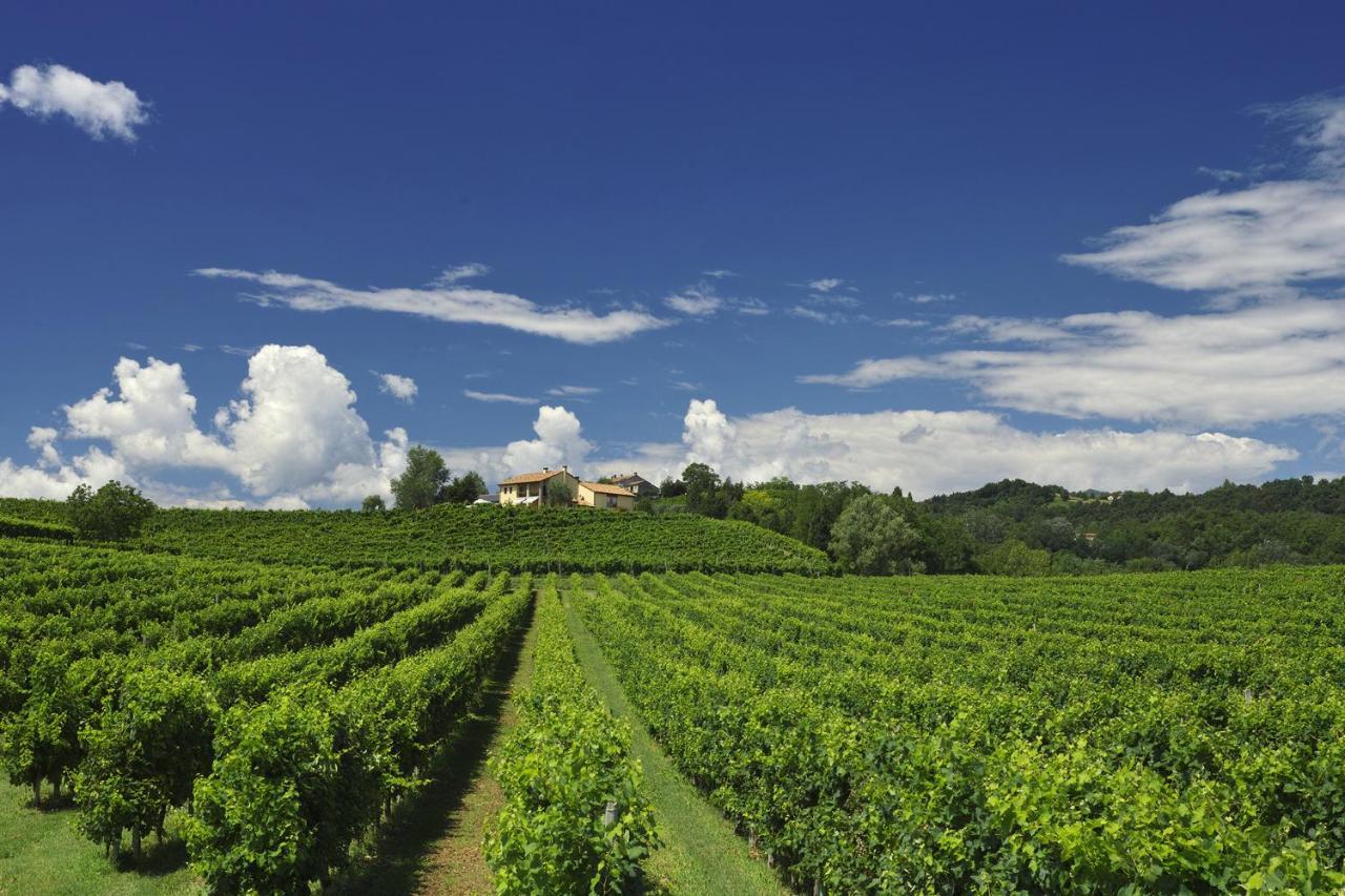 Agriturismo Moro Barel Vittorio Veneto Ngoại thất bức ảnh
